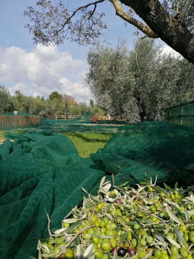 Il Podere Di Sole Roccastrada Luaran gambar