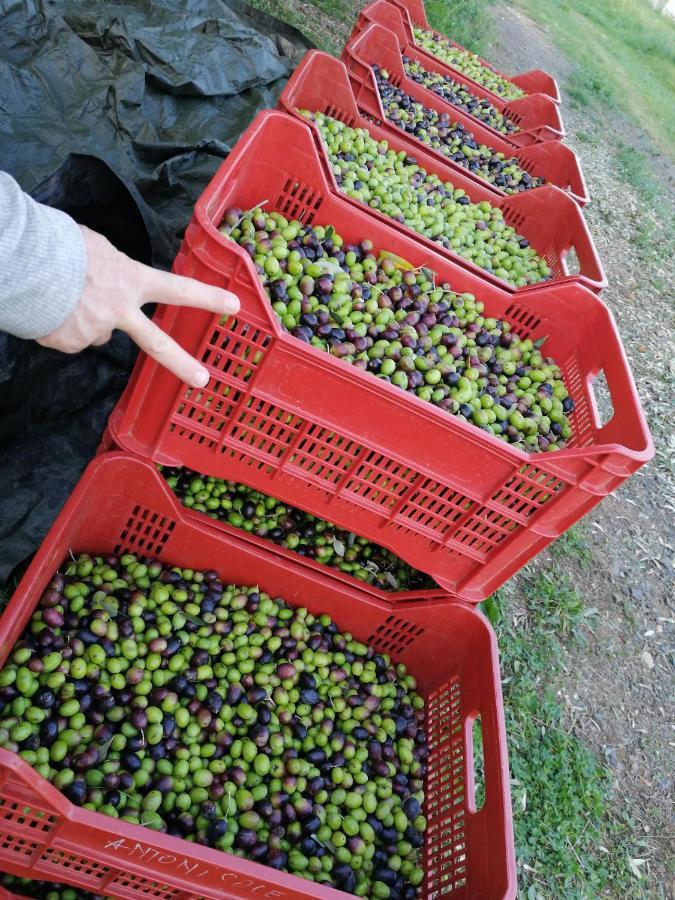 Il Podere Di Sole Roccastrada Luaran gambar