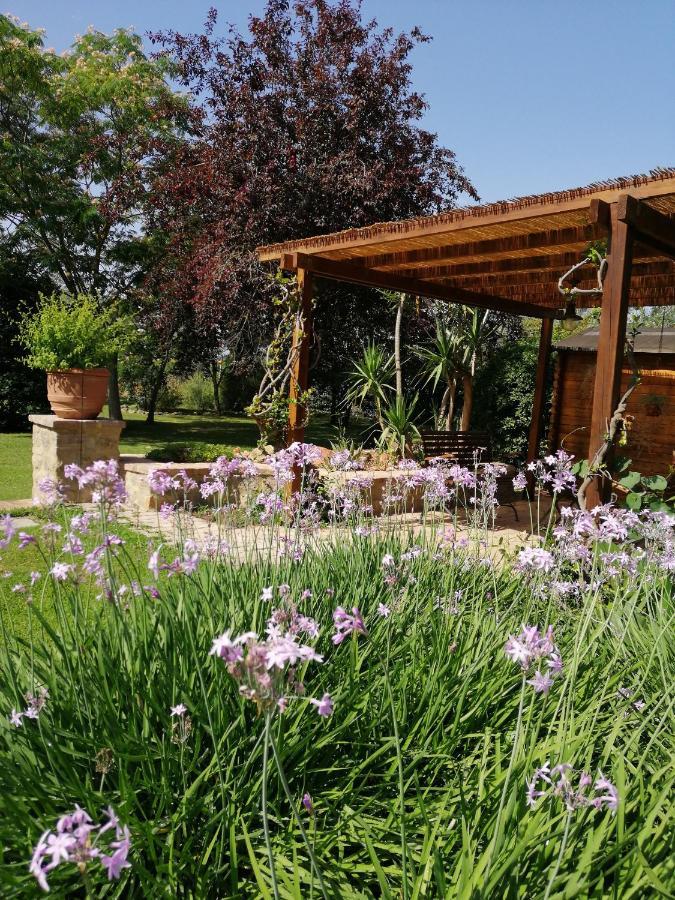 Il Podere Di Sole Roccastrada Luaran gambar