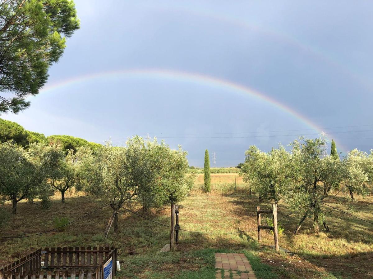 Il Podere Di Sole Roccastrada Luaran gambar